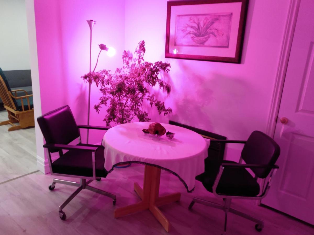 Healing Touch Holistic Living Space 阿默斯特 外观 照片